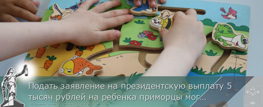 Подать заявление на президентскую выплату 5 тысяч рублей на ребенка приморцы могут до 31 марта, сообщает www.primorsky.ru
