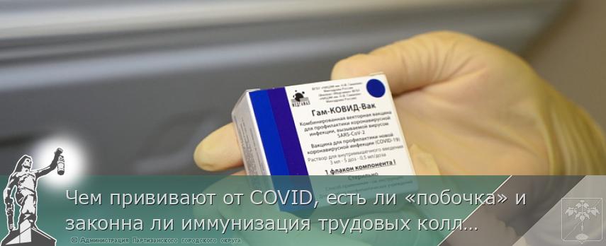 Чем прививают от COVID, есть ли «побочка» и законна ли иммунизация трудовых коллективов – на вопрос отвечает эпидемиолог Приморья, сообщает www.primorsky.ru